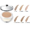 Clinique Beyond Perfecting Powder Foundation-Concealer 14.5gr