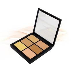 Mac Pro Conceal And Correct Palette 6g