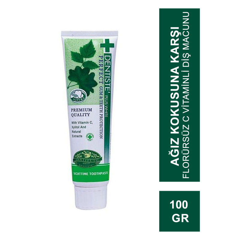Dentiste Nighttime Plus White Uyku Öncesi Tüp Diş Macunu 100 gr Dentiste Nighttime Plus White Uyku Öncesi Tüp Diş Macunu 100 gr