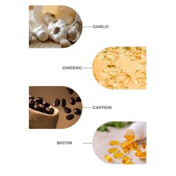 Zigavus Pro Lab Şampuan 300 ml -  3 Al 2 Öde -