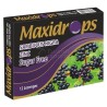 Maxidrops Sambucus Karamürver & Çinko 12 Pastil