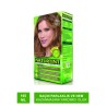 Naturtint Kalıcı Saç Boyası 7G Altın Sarı 165 ml