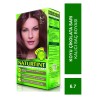Naturtint Kalıcı Saç Boyası 6.7 Koyu Çikolata Sarı 165 ml