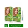 NATURTINT 2li Set 7.34 Işıltılı Fındık Kabuğu kalıcı Saç Boyas