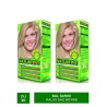 Naturtint Kalıcı Saç Boyası 9N Bal Sarısı 165 ml x 2 Adet