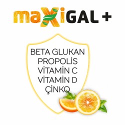 Maxigal + 20 Efervesan Tablet
