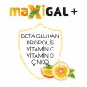 Maxigal + 20 Efervesan Tablet