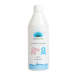 Beisya Winactive İntim Şampuan 250 ml