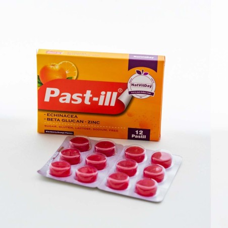 NatVitDay Portakallı Pastil 12 Adet