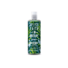 Faith In Nature Rosemary Shampoo ( Dengeleyici Saç Bakım Şampuanı ) 400 ml