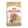 Royal Canin Cavalier Adult 1,5 Kg