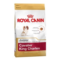 Royal Canin Bhn Cavalier Jun 1,5K
