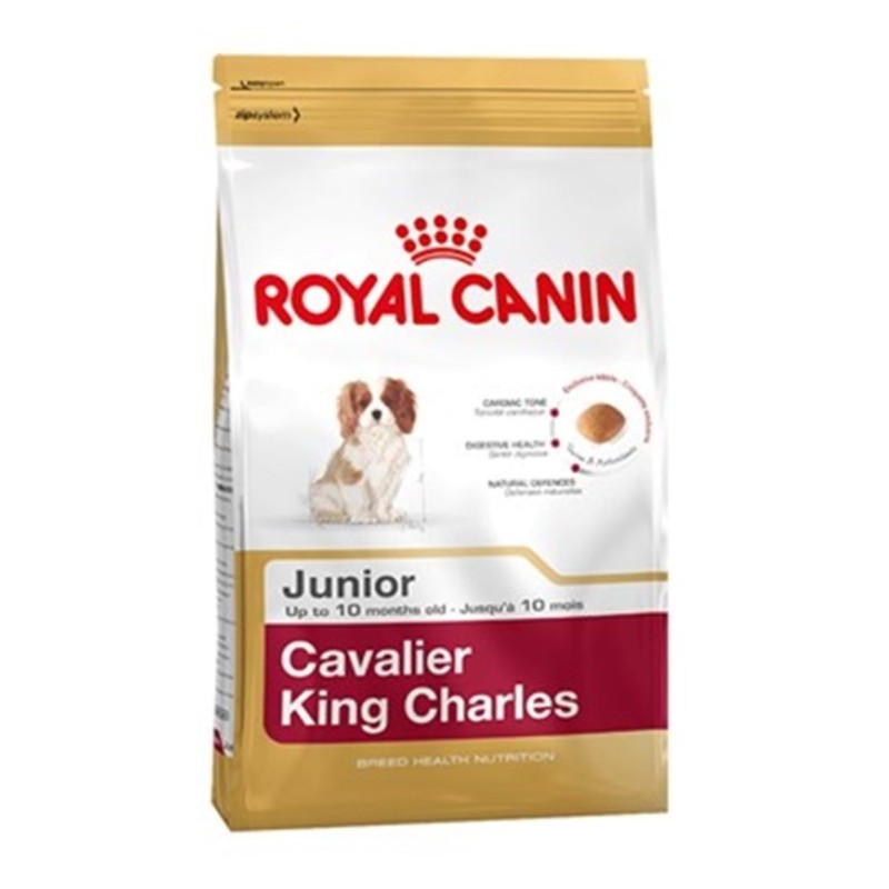 Royal Canin Bhn Cavalier Jun 1,5K