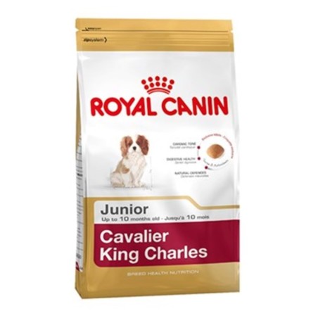 Royal Canin Bhn Cavalier Jun 1,5K