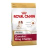 Royal Canin Bhn Cavalier Jun 1,5K