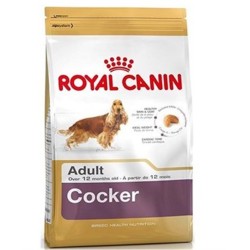 Royal Canin Bhn Cocker Adult 3K
