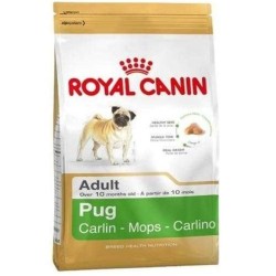 Royal Canin Bhn Pug Adult 1,5K