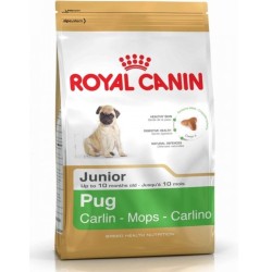 Royal Canin Bhn Pug Junior 1,5K