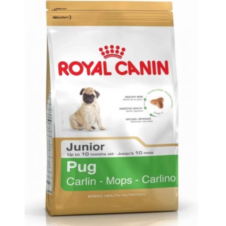 Royal Canin Bhn Pug Junior 1,5K