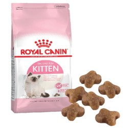 Royal Canin Fhn Kitten 4k