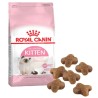 Royal Canin Fhn Kitten 4k