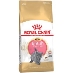 Royal Canin Fbn Brit Short Kit 2K