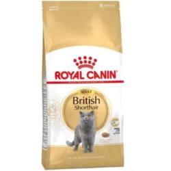 Royal Canin Fbn Brit Shorthair 2K