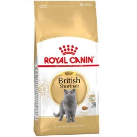 Royal Canin Fbn Brit Shorthair 2K