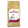 Royal Canin Fbn Persian 2K