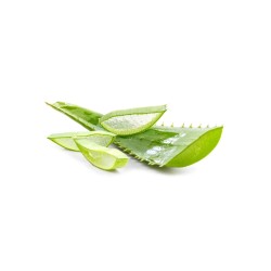 Aloe Vera Jel Aloe Vera Yaprağı Hammadde 1.000 gr