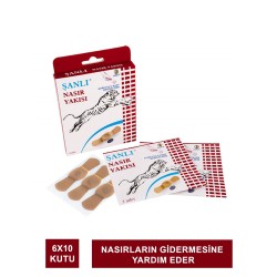 Şanlı Nasır Yakısı 6 Adet x 10 Kutu