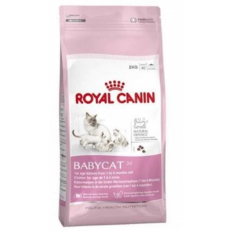 Royal Canin Fhn Babycat 2K