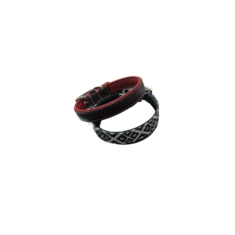 Desenli Köpek Boyun Tasması 2,5 Cm