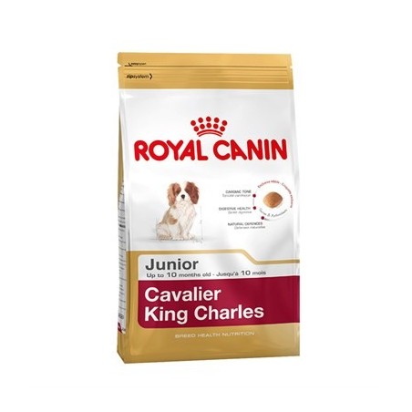Royal Canin Bhn Cavalier Jun 1,5K