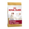 Royal Canin Bhn Cavalier Jun 1,5K