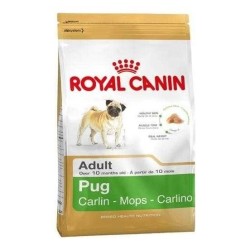 Royal Canin Bhn Pug Adult 1,5K