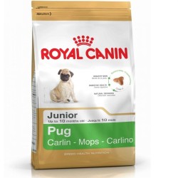 Royal Canin Bhn Pug Junior 1,5K