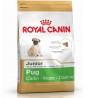Royal Canin Bhn Pug Junior 1,5K