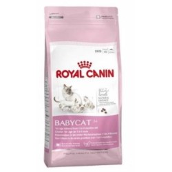 Royal Canin Fhn Babycat 2K