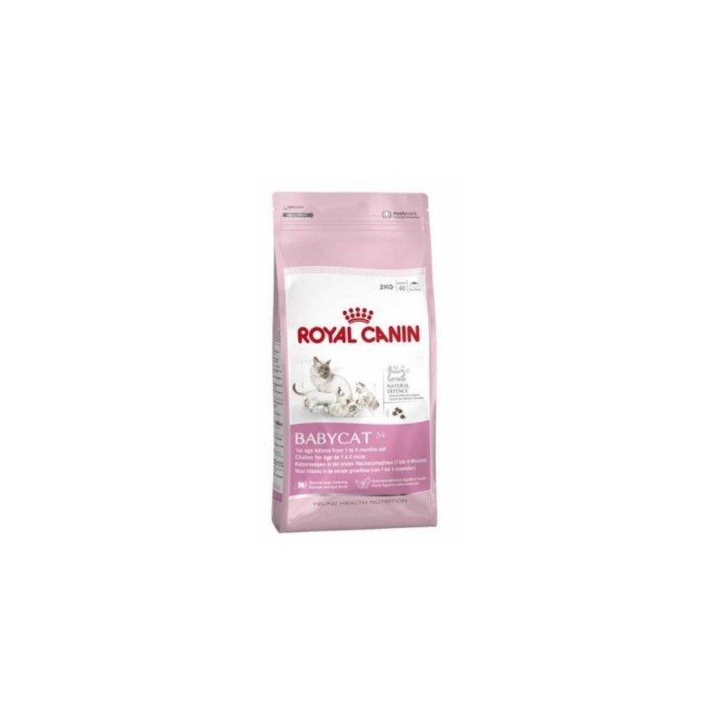 Royal Canin Fhn Babycat 2K