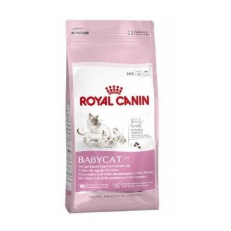 Royal Canin Fhn Babycat 2K