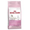 Royal Canin Fhn Babycat 2K