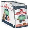Royal Canin Fhn Digestive Sensitive 85G
