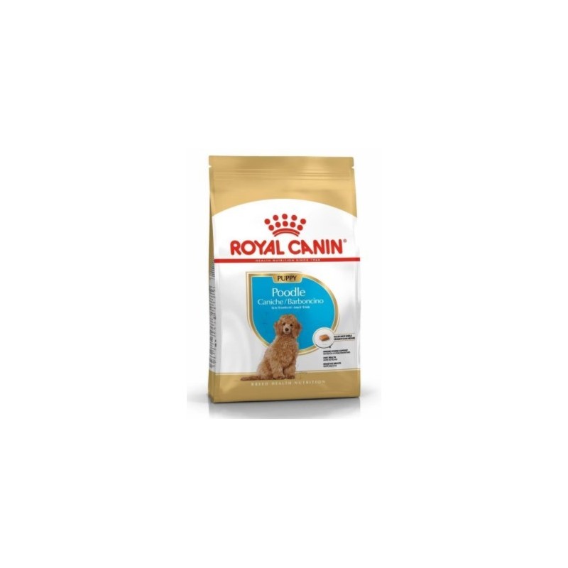 Royal Canin Bhn Poodle Junior 3K