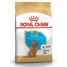 Royal Canin Bhn Poodle Junior 3K