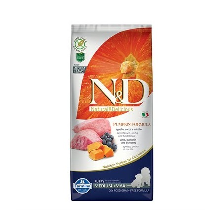 N&D Pumpkın & Kuzu & Yaban Mersini Puppy Med&Maxı 12 Kg