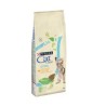 Cat Chow Tavuk Etli Kitten 15Kg