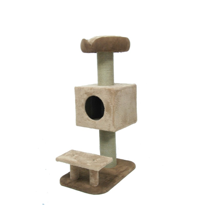 Model Joyful Cat Tırmalama
