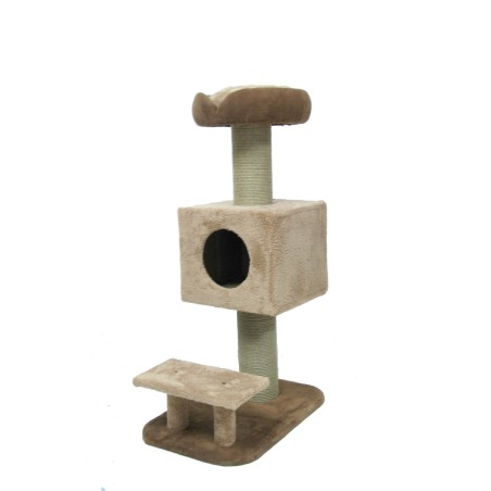 Model Joyful Cat Tırmalama