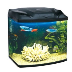 İthal Mini 480 Akvaryum